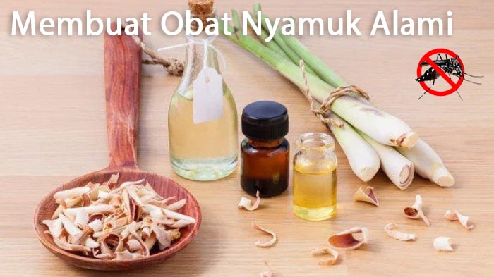 Membuat Obat Nyamuk Alami